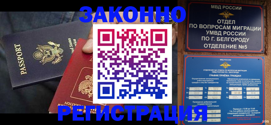 прописка законно в Волосово